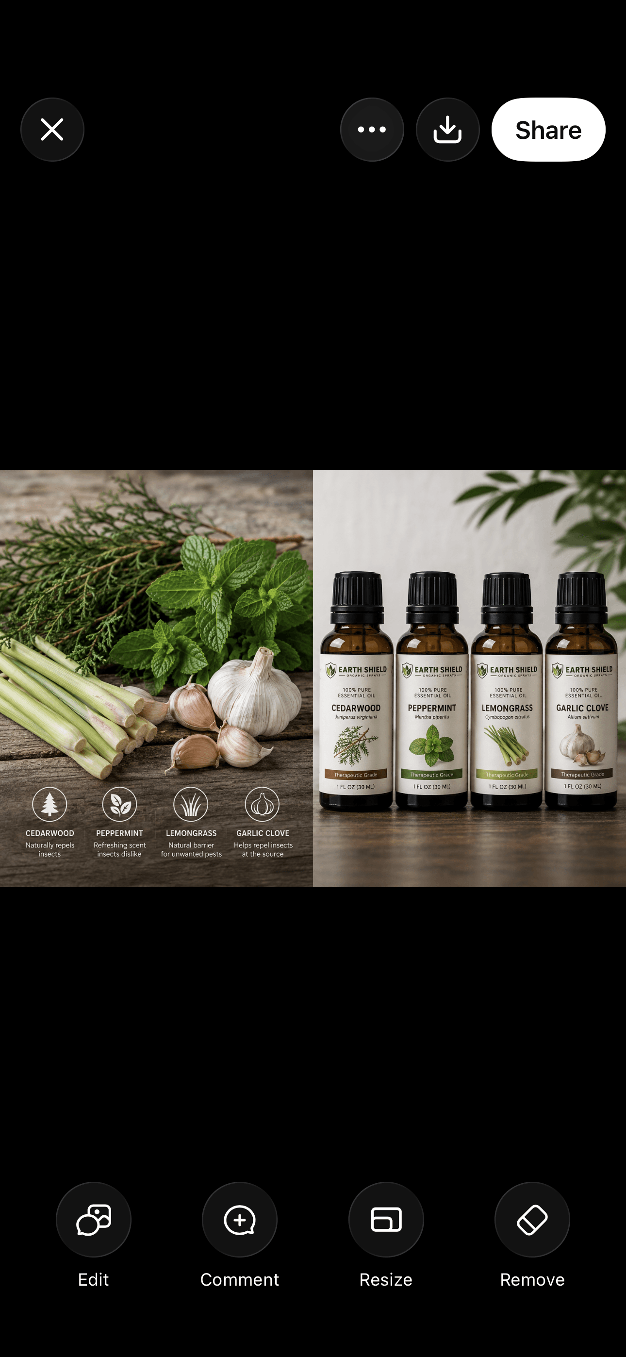 Four Earth Shield essential oil bottles next to fresh cedar, mint, lemongrass, and garlic.